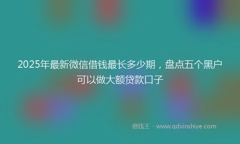 2025年最新微信借钱最长多少期，盘点五个黑户可以做大额贷款口子