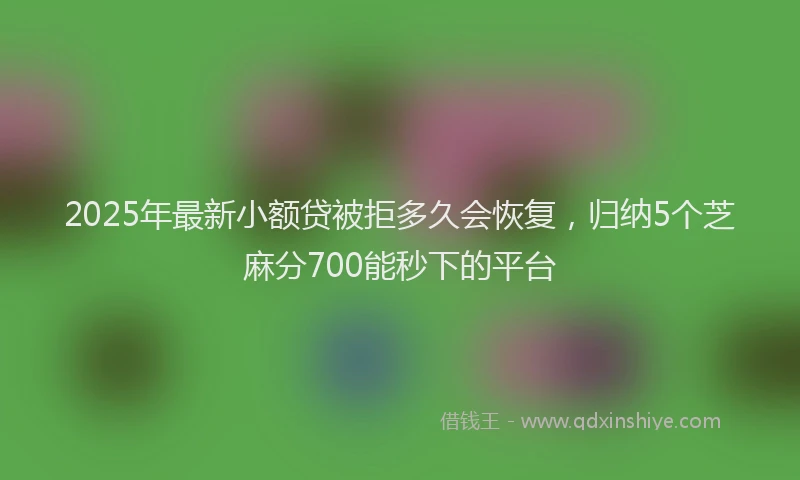 2025年最新小额贷被拒多久会恢复，归纳5个芝麻分700能秒下的平台