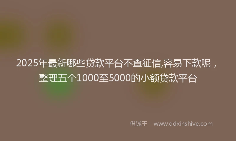 2025年最新哪些贷款平台不查征信,容易下款呢，整理五个1000至5000的小额贷款平台