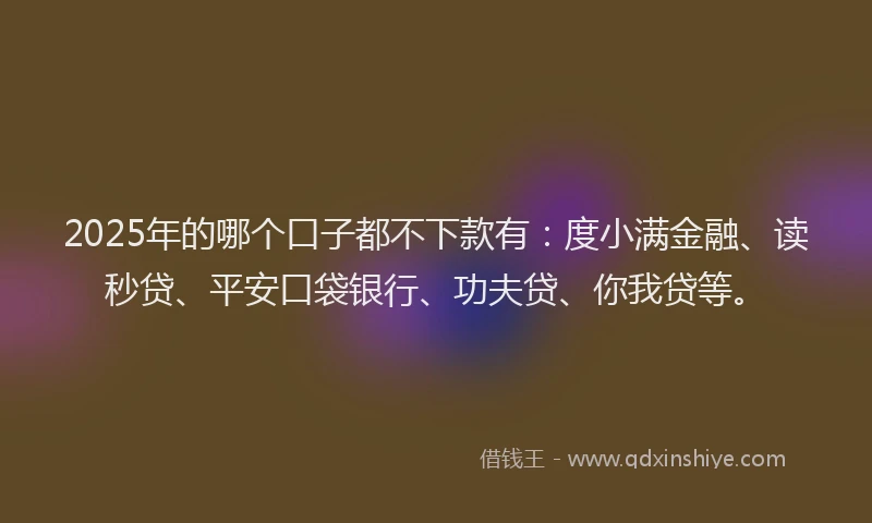 2025年的哪个口子都不下款有：度小满金融、读秒贷、平安口袋银行、功夫贷、你我贷等。