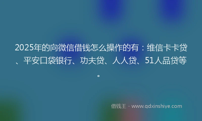 2025年的向微信借钱怎么操作的有：维信卡卡贷、平安口袋银行、功夫贷、人人贷、51人品贷等。