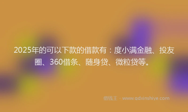 2025年的可以下款的借款有：度小满金融、投友圈、360借条、随身贷、微粒贷等。