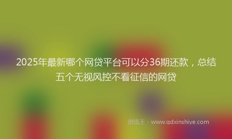 2025年最新哪个网贷平台可以分36期还款，总结五个无视风控不看征信的网贷