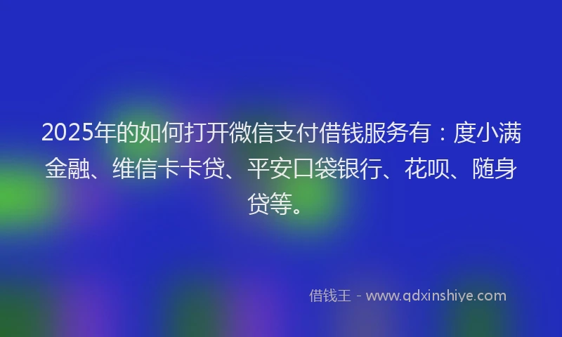 2025年的如何打开微信支付借钱服务有：度小满金融、维信卡卡贷、平安口袋银行、花呗、随身贷等。