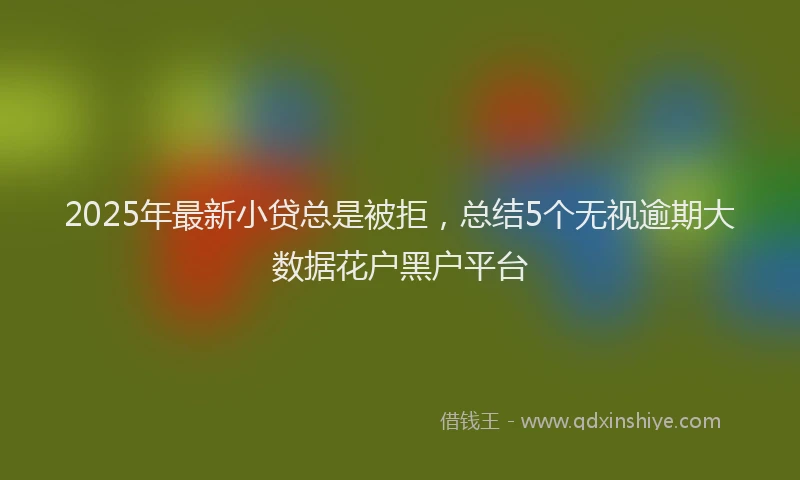 2025年最新小贷总是被拒，总结5个无视逾期大数据花户黑户平台