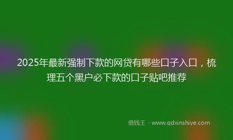 2025年最新强制下款的网贷有哪些口子入口，梳理五个黑户必下款的口子贴吧推荐