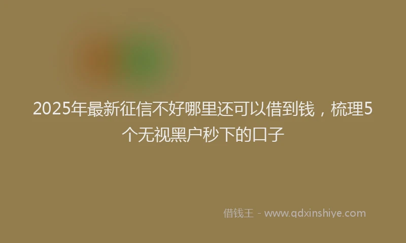 2025年最新征信不好哪里还可以借到钱，梳理5个无视黑户秒下的口子