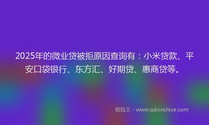 2025年的微业贷被拒原因查询有：小米贷款、平安口袋银行、东方汇、好期贷、惠商贷等。