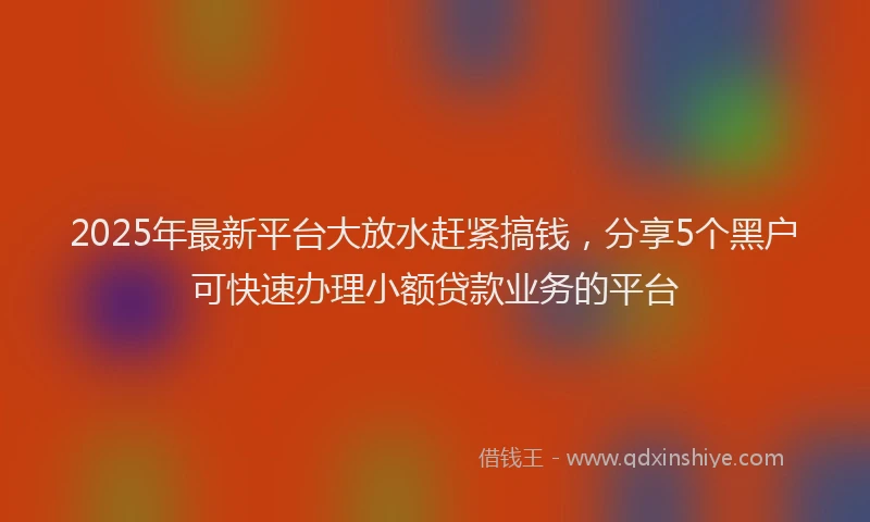 2025年最新平台大放水赶紧搞钱，分享5个黑户可快速办理小额贷款业务的平台
