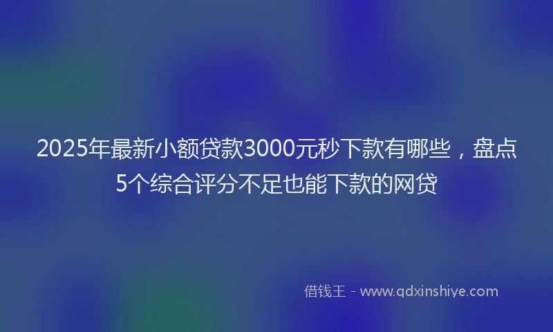 2025年最新小额贷款3000元秒下款有哪些，盘点5个综合评分不足也能下款的网贷