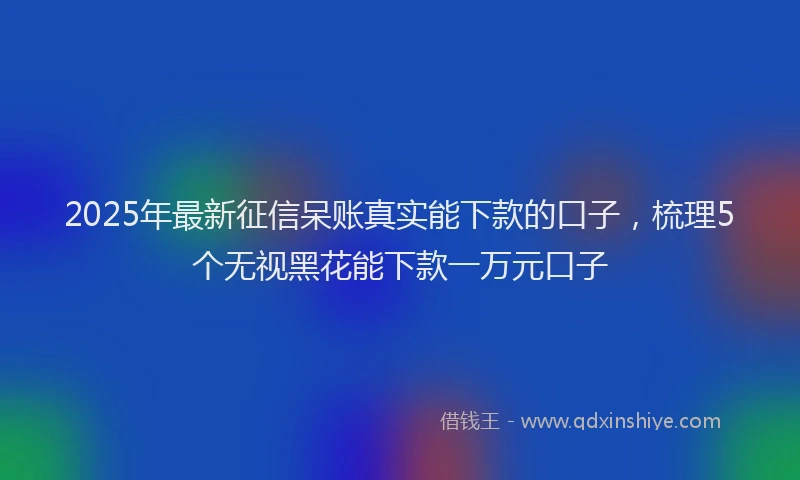 2025年最新征信呆账真实能下款的口子，梳理5个无视黑花能下款一万元口子