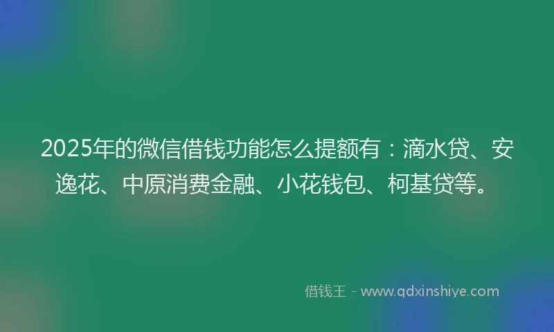 2025年的微信借钱功能怎么提额有：滴水贷、安逸花、中原消费金融、小花钱包、柯基贷等。