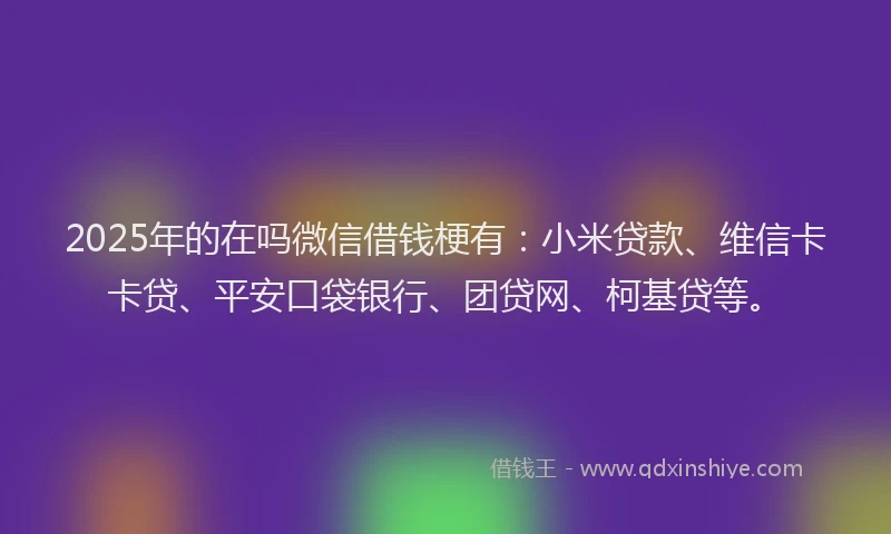 2025年的在吗微信借钱梗有：小米贷款、维信卡卡贷、平安口袋银行、团贷网、柯基贷等。