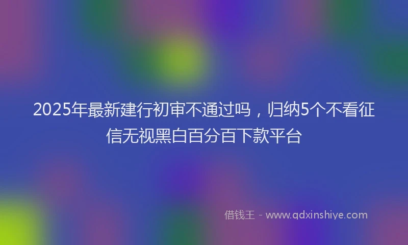 2025年最新建行初审不通过吗，归纳5个不看征信无视黑白百分百下款平台