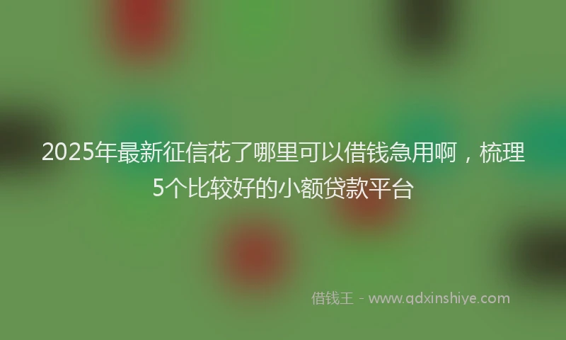 2025年最新征信花了哪里可以借钱急用啊，梳理5个比较好的小额贷款平台