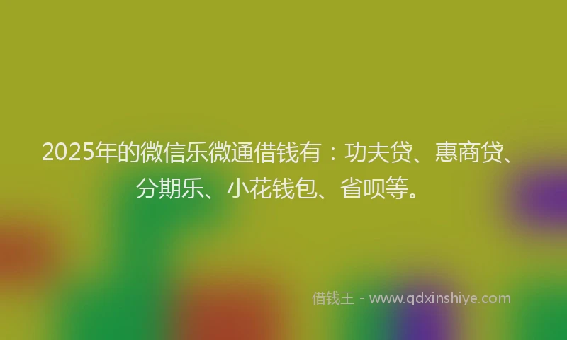 2025年的微信乐微通借钱有：功夫贷、惠商贷、分期乐、小花钱包、省呗等。