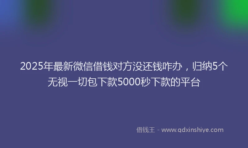 2025年最新微信借钱对方没还钱咋办，归纳5个无视一切包下款5000秒下款的平台
