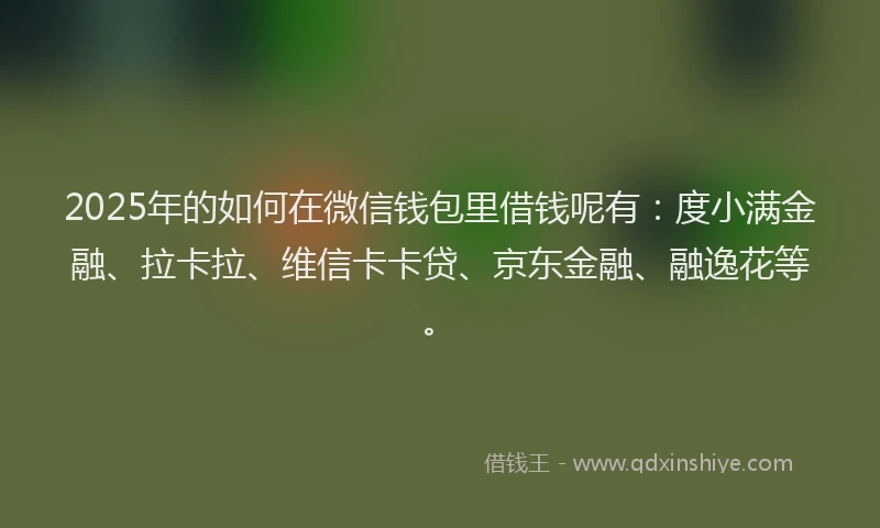 2025年的如何在微信钱包里借钱呢有：度小满金融、拉卡拉、维信卡卡贷、京东金融、融逸花等。