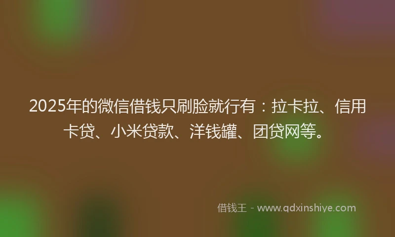 2025年的微信借钱只刷脸就行有：拉卡拉、信用卡贷、小米贷款、洋钱罐、团贷网等。