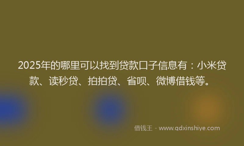 2025年的哪里可以找到贷款口子信息有：小米贷款、读秒贷、拍拍贷、省呗、微博借钱等。