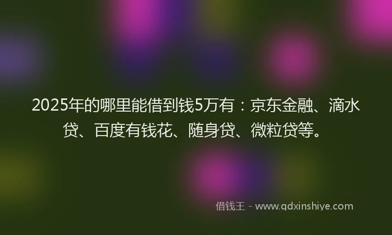 2025年的哪里能借到钱5万有：京东金融、滴水贷、百度有钱花、随身贷、微粒贷等。