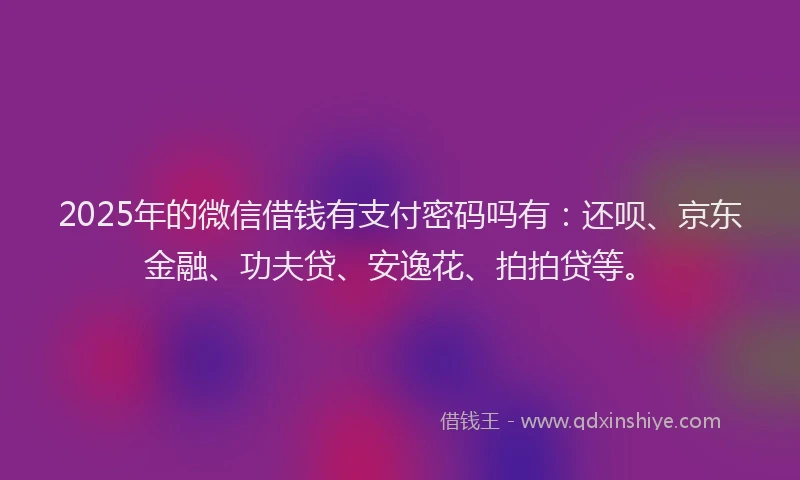 2025年的微信借钱有支付密码吗有：还呗、京东金融、功夫贷、安逸花、拍拍贷等。