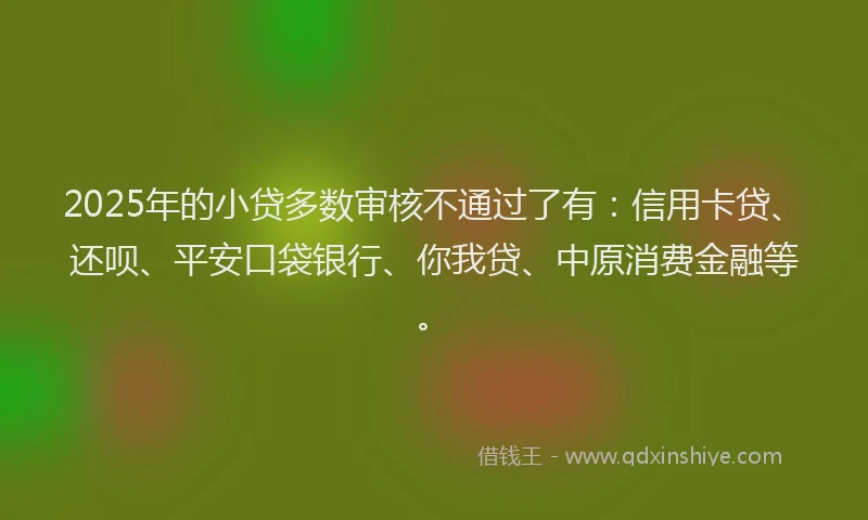 2025年的小贷多数审核不通过了有：信用卡贷、还呗、平安口袋银行、你我贷、中原消费金融等。