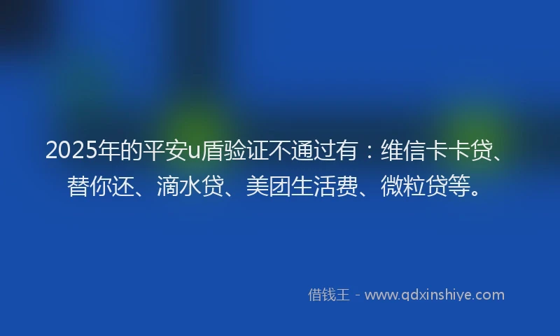 2025年的平安u盾验证不通过有：维信卡卡贷、替你还、滴水贷、美团生活费、微粒贷等。