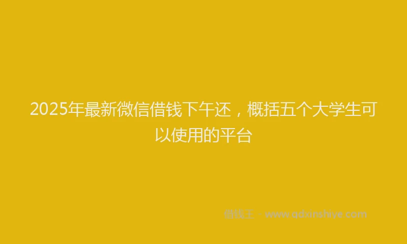 2025年最新微信借钱下午还，概括五个大学生可以使用的平台