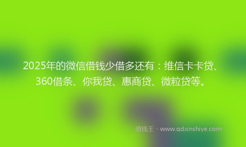 2025年的微信借钱少借多还有：维信卡卡贷、360借条、你我贷、惠商贷、微粒贷等。