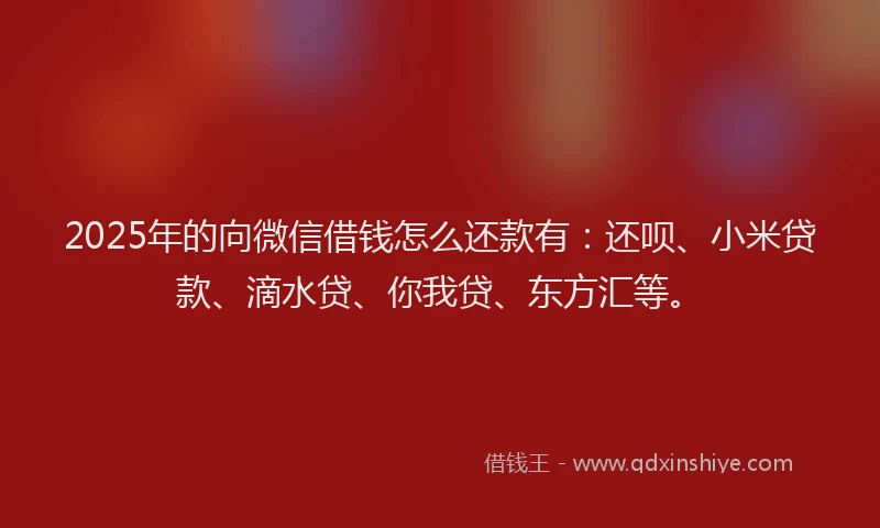 2025年的向微信借钱怎么还款有：还呗、小米贷款、滴水贷、你我贷、东方汇等。