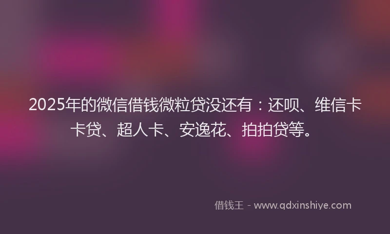 2025年的微信借钱微粒贷没还有：还呗、维信卡卡贷、超人卡、安逸花、拍拍贷等。