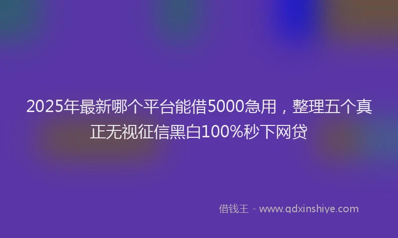 2025年最新哪个平台能借5000急用，整理五个真正无视征信黑白100%秒下网贷