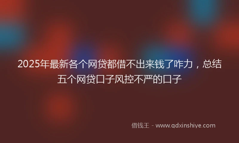 2025年最新各个网贷都借不出来钱了咋力，总结五个网贷口子风控不严的口子