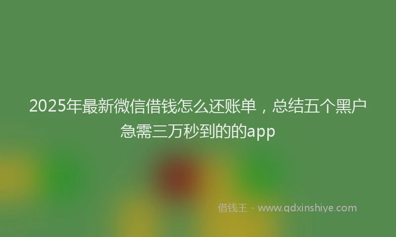 2025年最新微信借钱怎么还账单，总结五个黑户急需三万秒到的的app