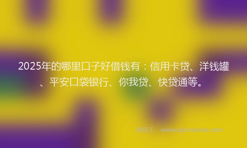 2025年的哪里口子好借钱有：信用卡贷、洋钱罐、平安口袋银行、你我贷、快贷通等。