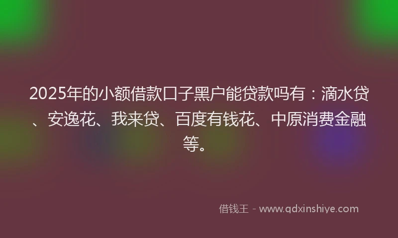 2025年的小额借款口子黑户能贷款吗有：滴水贷、安逸花、我来贷、百度有钱花、中原消费金融等。