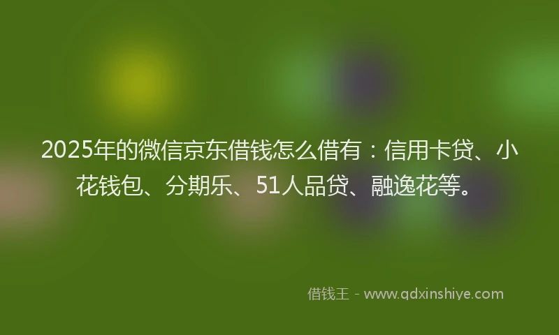 2025年的微信京东借钱怎么借有：信用卡贷、小花钱包、分期乐、51人品贷、融逸花等。