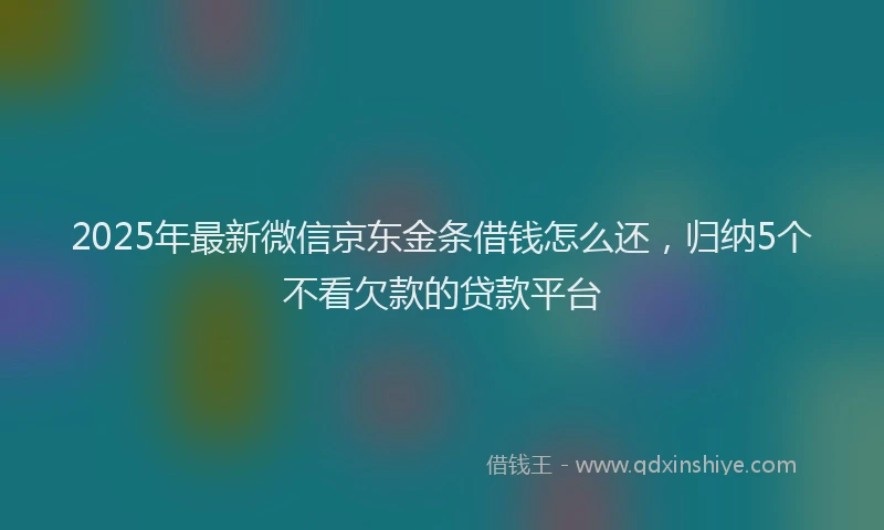 2025年最新微信京东金条借钱怎么还，归纳5个不看欠款的贷款平台
