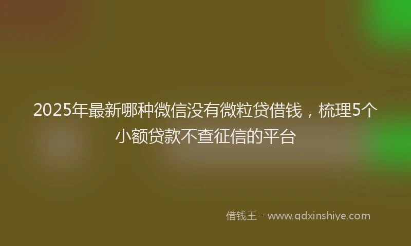 2025年最新哪种微信没有微粒贷借钱，梳理5个小额贷款不查征信的平台