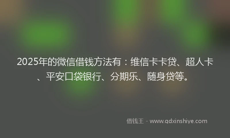 2025年的微信借钱方法有：维信卡卡贷、超人卡、平安口袋银行、分期乐、随身贷等。
