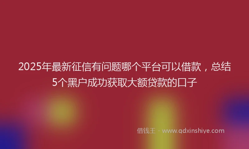 2025年最新征信有问题哪个平台可以借款，总结5个黑户成功获取大额贷款的口子