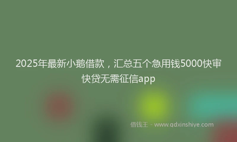 2025年最新小鹅借款，汇总五个急用钱5000快审快贷无需征信app