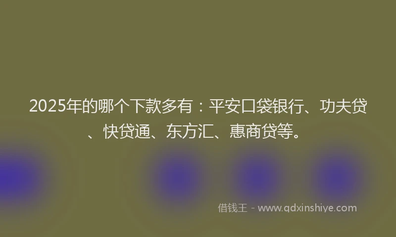 2025年的哪个下款多有：平安口袋银行、功夫贷、快贷通、东方汇、惠商贷等。