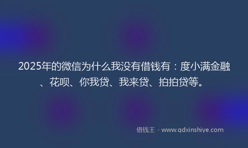 2025年的微信为什么我没有借钱有：度小满金融、花呗、你我贷、我来贷、拍拍贷等。