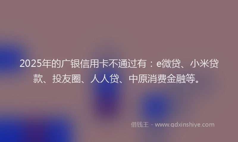 2025年的广银信用卡不通过有：e微贷、小米贷款、投友圈、人人贷、中原消费金融等。
