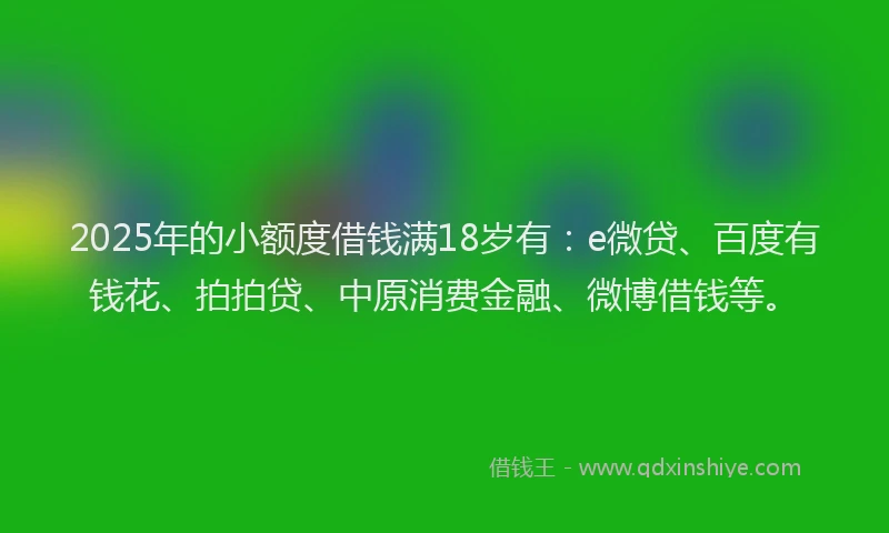 2025年的小额度借钱满18岁有：e微贷、百度有钱花、拍拍贷、中原消费金融、微博借钱等。