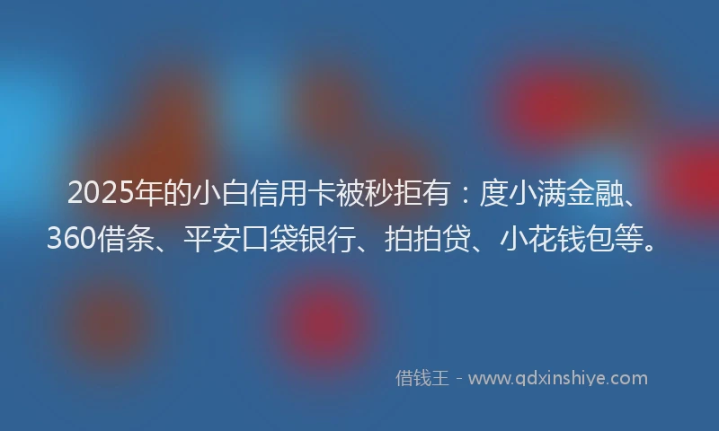 2025年的小白信用卡被秒拒有：度小满金融、360借条、平安口袋银行、拍拍贷、小花钱包等。
