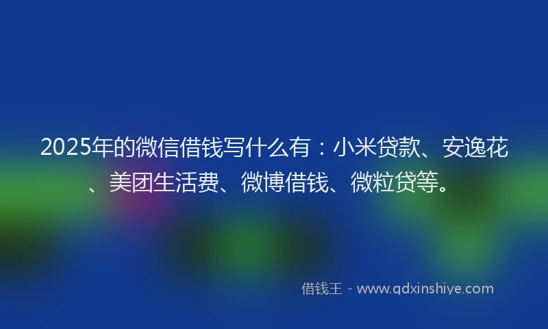 2025年的微信借钱写什么有：小米贷款、安逸花、美团生活费、微博借钱、微粒贷等。