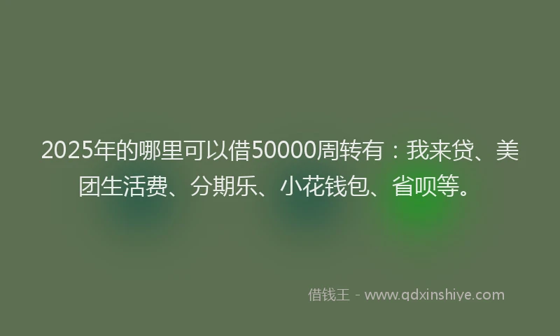 2025年的哪里可以借50000周转有：我来贷、美团生活费、分期乐、小花钱包、省呗等。